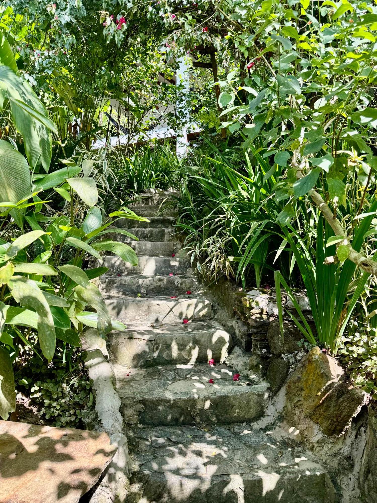 Mundo Nuevo Eco Lodge Minca Luaran gambar
